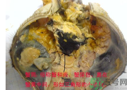 梭子蟹哪些部位不能吃？梭子蟹哪些人不能吃？