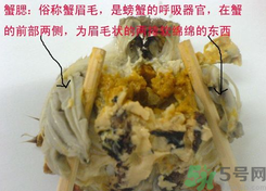 梭子蟹哪些部位不能吃？梭子蟹哪些人不能吃？