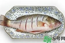 秋季適合吃什么魚？秋季吃魚的好處？