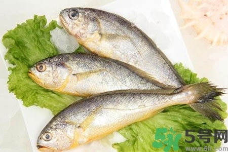 秋季適合吃什么魚？秋季吃魚的好處？