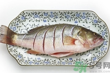 如何挑選新鮮魚？怎樣吃到不被污染的魚？