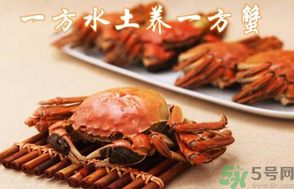 盤錦河蟹和陽澄湖大閘蟹的區(qū)別？盤錦河蟹和陽澄湖大閘蟹哪個比較好吃？