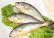 如何挑選新鮮魚？怎樣吃到不被污染的魚？