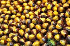 吃栗子會(huì)胖嗎？栗子吃多了會(huì)怎樣？
