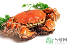 陽澄湖大閘蟹是河蟹嗎？陽澄湖大閘蟹和河蟹的區(qū)別