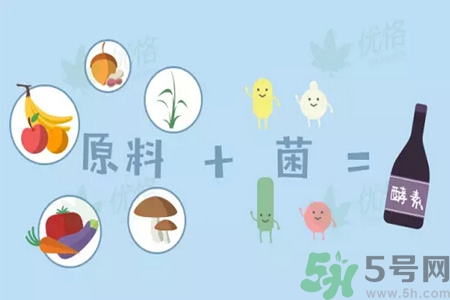 酵素什么時候吃最減肥？酵素減肥有用嗎？
