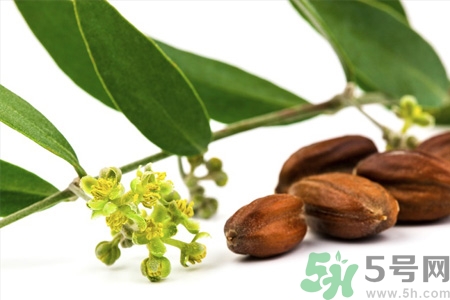 荷荷巴油可以直接擦臉嗎？荷荷巴油怎么去黑頭？