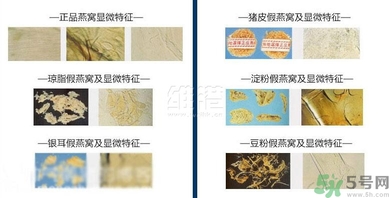 去香港買燕窩哪里好？香港哪里買燕窩比較好正宗？