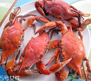 梭子蟹和飛蟹的區(qū)別？飛蟹是梭子蟹嗎？