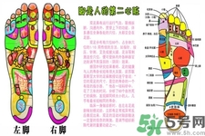 孕婦可以用生姜泡腳嗎？生姜泡腳的方法是什么？