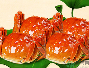 梭子蟹和大閘蟹的區(qū)別？梭子蟹和大閘蟹哪個(gè)好？