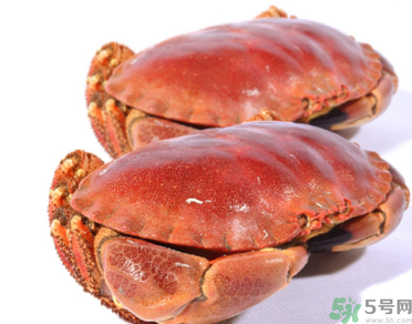 面包蟹多少錢一斤？面包蟹多少錢一只？