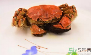 珍寶蟹和面包蟹的區(qū)別？珍寶蟹和面包蟹哪個好吃？