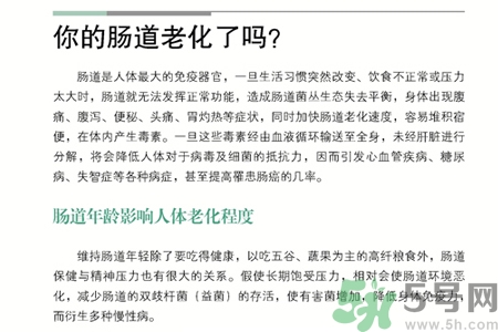 引起腸道老化的原因是什么？四種人腸道老化快