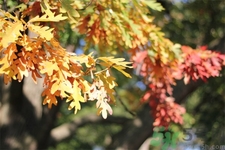秋燥皮膚癢吃什么好？秋燥4妙招保護(hù)皮膚