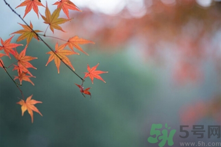 秋燥皮膚癢吃什么好？秋燥4妙招保護(hù)皮膚