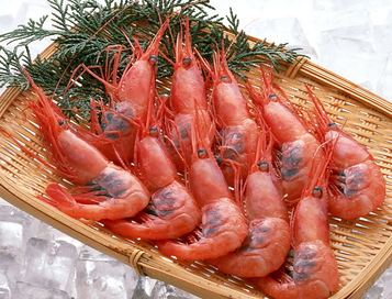 海蝦煮多長時間熟？海蝦怎么煮？