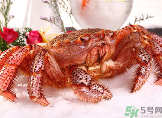 海蟹死了可以吃嗎？海蟹死了多久還能吃？