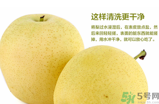 皇冠梨是雪梨嗎？皇冠梨和雪梨的區(qū)別