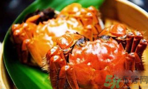 蟹膏是螃蟹的什么？蟹膏的營(yíng)養(yǎng)價(jià)值
