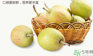 孕婦能吃香梨嗎？香梨孕婦可以吃嗎？