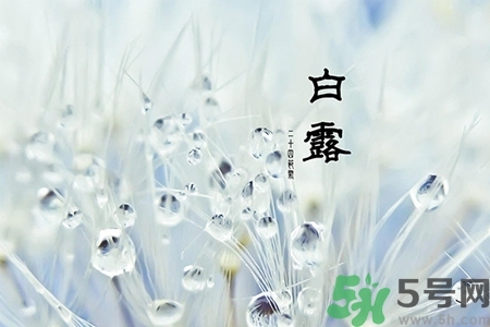 白露節(jié)吃什么？白露節(jié)的傳統(tǒng)美食有哪些？