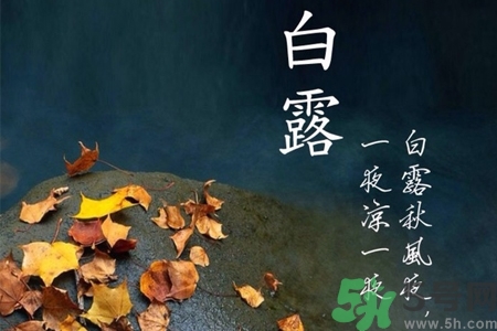 白露節(jié)吃什么？白露節(jié)的傳統(tǒng)美食有哪些？