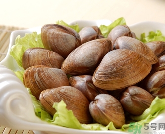蛤蜊是發(fā)物嗎？手術(shù)后可以吃蛤蜊嗎？
