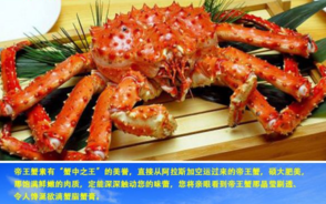 阿拉斯加帝王蟹好吃嗎？阿拉斯加帝王蟹吃法