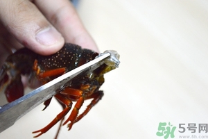 活蝦怎么處理干凈蝦線？活蝦怎么去蝦線？