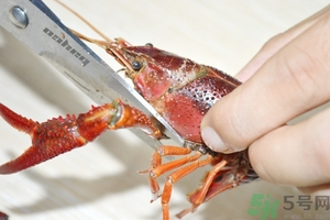活蝦怎么處理干凈蝦線？活蝦怎么去蝦線？