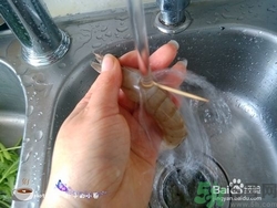 活蝦怎么處理干凈蝦線？活蝦怎么去蝦線？