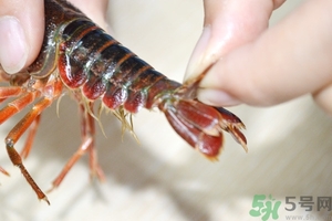 活蝦怎么處理干凈蝦線？活蝦怎么去蝦線？
