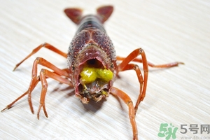 活蝦怎么處理干凈蝦線？活蝦怎么去蝦線？