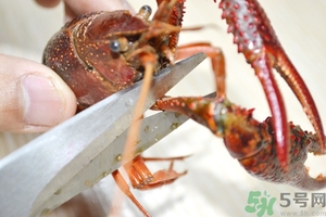 活蝦怎么處理干凈蝦線？活蝦怎么去蝦線？