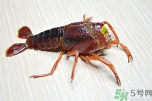 活蝦怎么處理干凈蝦線？活蝦怎么去蝦線？