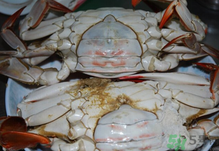 海蟹蒸多長(zhǎng)時(shí)間？海蟹蒸多長(zhǎng)時(shí)間最好吃？