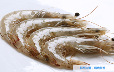 海蝦怎么保存？活海蝦怎么保存？