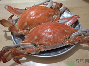 海蟹蒸多長(zhǎng)時(shí)間？海蟹蒸多長(zhǎng)時(shí)間最好吃？