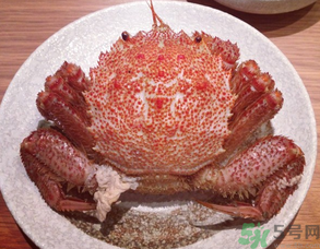 紅毛蟹怎么吃？紅毛蟹怎么做好吃？