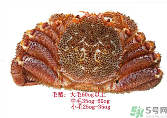 毛蟹蒸多長(zhǎng)時(shí)間？毛蟹蒸多久會(huì)熟？