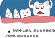 智齒拔了好不好？智齒能不拔嗎？