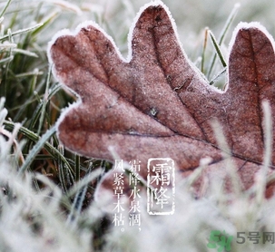霜降出生的孩子好嗎？霜降出生的寶寶怎么取名？