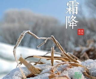 霜降出生的孩子好嗎？霜降出生的寶寶怎么取名？