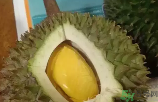 榴蓮吃多了會怎么樣？榴蓮吃多了好嗎？
