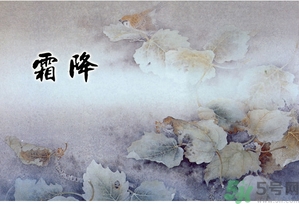 霜降為什么要吃柿子？霜降吃柿子有什么好處？