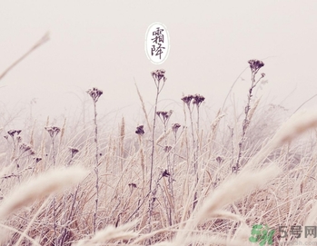 霜降為什么要吃柿子？霜降吃柿子有什么好處？