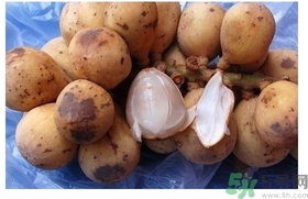 椰色果的功效作用 椰色果怎么吃？