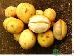椰色果的功效作用 椰色果怎么吃？