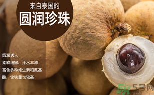 泰國龍眼和普通龍眼什么區(qū)別？泰國龍眼和普通龍眼哪個(gè)好？